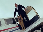 Replay Rex, chien flic - Mauvaises actions