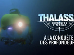 Replay Thalassa, aventures extrêmes - 02/02/2026