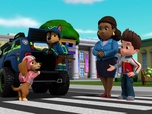 Replay Paw Patrol, la Pat'Patrouille - Un ours dans la ville