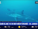 Replay BFM Première