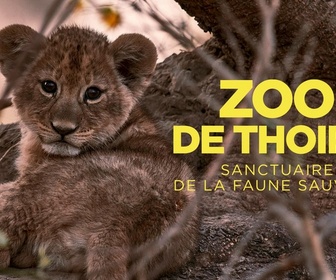 Replay Zoo de Thoiry : sanctuaire de la faune sauvage