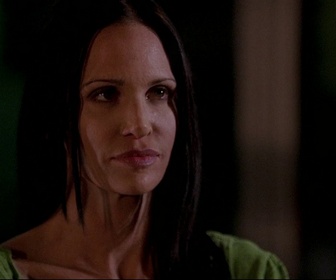 Replay Esprits criminels - S03 E17 - Le caméléon