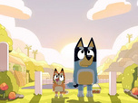 Replay Bluey - 01/07/2026