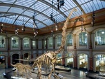Replay À la recherche des monstres de la Préhistoire - Les chasseurs de dinosaures
