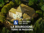 Replay Des Racines et Des Ailes