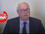 Replay 100% Sénat - Aides publiques aux entreprises : audition de STMicroelectronics