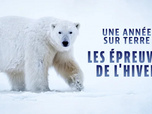 Replay Une année sur terre - 19/05/2026