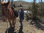 Replay Seuls face à l'Alaska - S9E11 - La ruée vers l'or