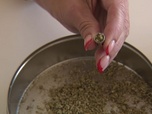 Replay ARTE Journal - Allemagne : la fin des fleurs de cannabis sur ordonnance