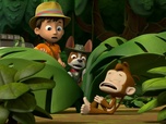 Replay Paw Patrol, la Pat'Patrouille - Attention, boules puantes !