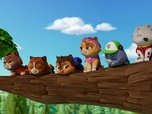 Replay Paw Patrol, la Pat'Patrouille - Mission Pompiers : Les guim-o-choco de M. Hellinger