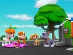 Replay Paw Patrol, la Pat'Patrouille - Le bébé dauphin