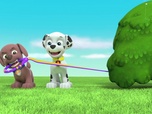 Replay Paw Patrol, la Pat'Patrouille - Les pépites d'or