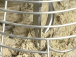 Replay La vie secrète des supermarchés - Émission 3