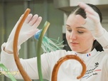 Replay Grands Reportages - Championnat du monde des métiers : ces Français qui valent de l'or - Partie 1