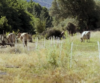 Replay Paysans du monde - Corse : Glace