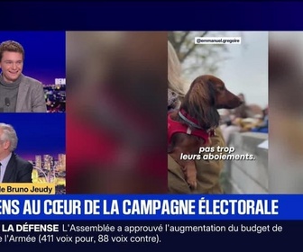 Replay BFM Grand Soir - Les chiens au cœur de la campagne électorale - 10/12