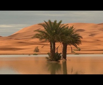 Replay No Comment : les lacs de retour dans le désert marocain