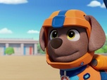 Replay Paw Patrol, la Pat'Patrouille - Un drôle de rêve