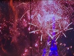 Replay Élément Terre, la quotidienne - Risque d'incendies, pollution... Quelles alternatives aux feux d'artifice du 14 juillet ?