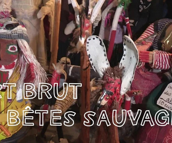 Replay La France en vrai - Art brut et bêtes sauvages