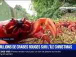 Replay BFM Première prématinale - Le break du 24 octobre