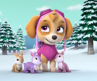 Replay Paw Patrol, la Pat'Patrouille - La tempête de neige