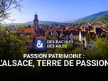 Replay Des Racines et Des Ailes