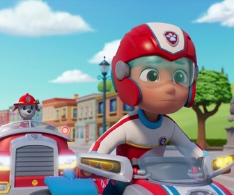 Replay Paw Patrol, la Pat'Patrouille - La grande tombola