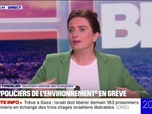 Replay 20H BFM - Agents de la biodiversité en grève: Il fait un sale temps pour l'écologie, estime Marine Tondelier