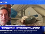 Replay D'où vient le saumon que nous mangeons? BFMTV répond à vos questions