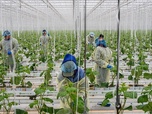 Replay La face cachée de l'industrie alimentaire (2/2)