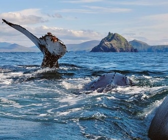 Replay Un été atlantique - Les îles irlandaises, avant-postes de l'océan