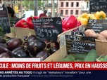 Replay BFM Première - Canicule: les prix des fruits et légumes en hausse sur les marchés