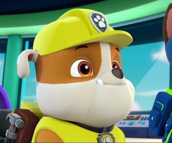 Replay Paw Patrol, la Pat'Patrouille - Trois pingouins dans la ville
