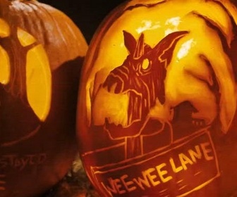 Replay Incroyables citrouilles - Episode 1