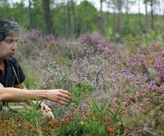Replay Fleurir les Landes - Les promesses de la terre