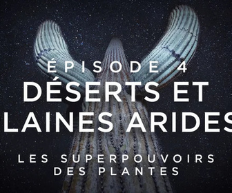 Replay Les superpouvoirs des plantes - 23/02/2026