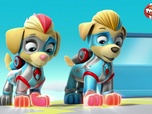 Replay Paw Patrol, la Pat'Patrouille - Les Super Chiens jumeaux