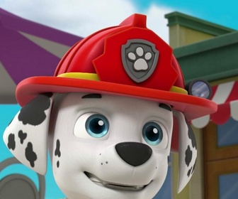 Replay Paw Patrol, la Pat'Patrouille - La moustache de Monsieur Hellinger