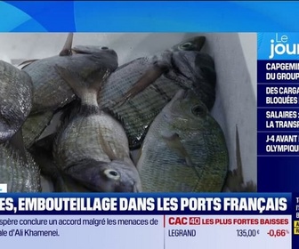 Replay Good Morning Business - Poissons bloqués dans les ports