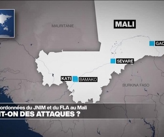 Replay Journal de l'Afrique - Le JNIM revendique les attaques coordonnées sur plusieurs villes au Mali