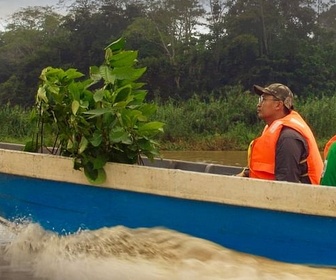 Replay Une lueur d'espoir pour la forêt tropicale - Des mains vertes pour la nature