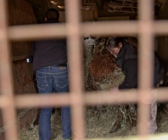 Replay Zoo, le défi de demain - Une saison extrême