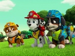 Replay Paw Patrol, la Pat'Patrouille - Mission Dino : Le réveil du volcan