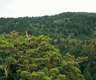 Replay En Californie, la mission des grimpeurs d'arbres géants - GEO Reportage