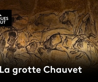 Replay Chroniques d'en Haut - La grotte Chauvet