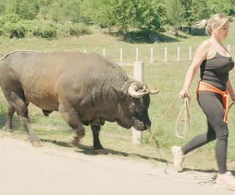 Replay La reine de la corrida en Bosnie - ARTE Regards