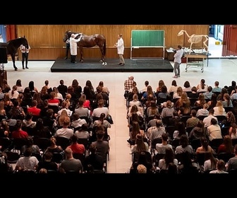 Replay Le Royaume-Uni va réintégrer Erasmus en 2027