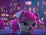 Replay VIP Pets - S03 E07 - Mets-toi à ma place